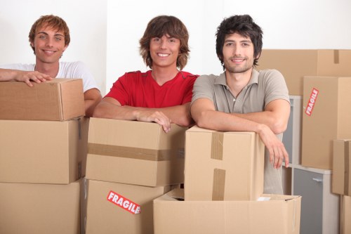 Residential and commercial moving support with a man and van in Anerley