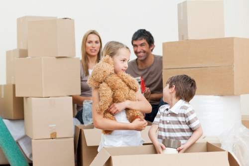 Professional packing service preparing fragile items in Anerley